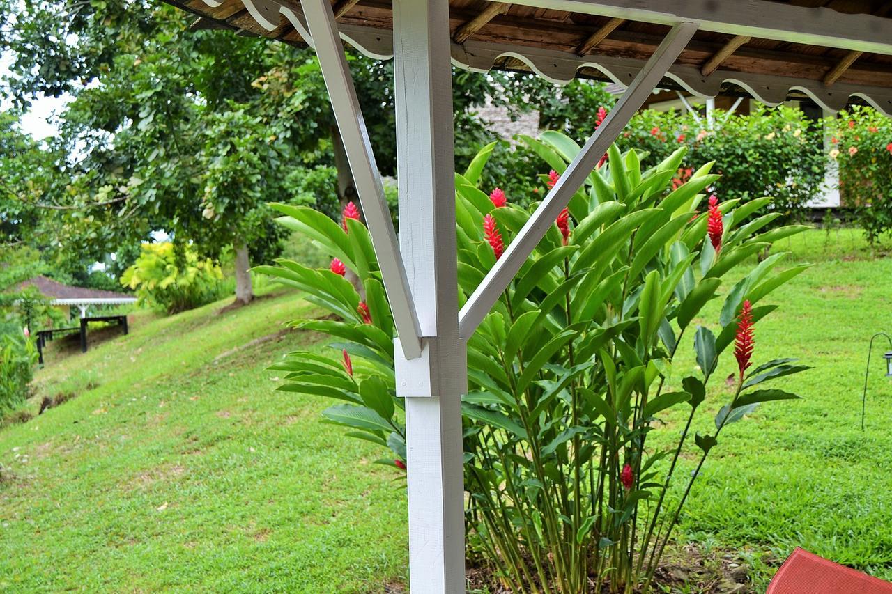 Nathylodge Bocas del Toro Buitenkant foto