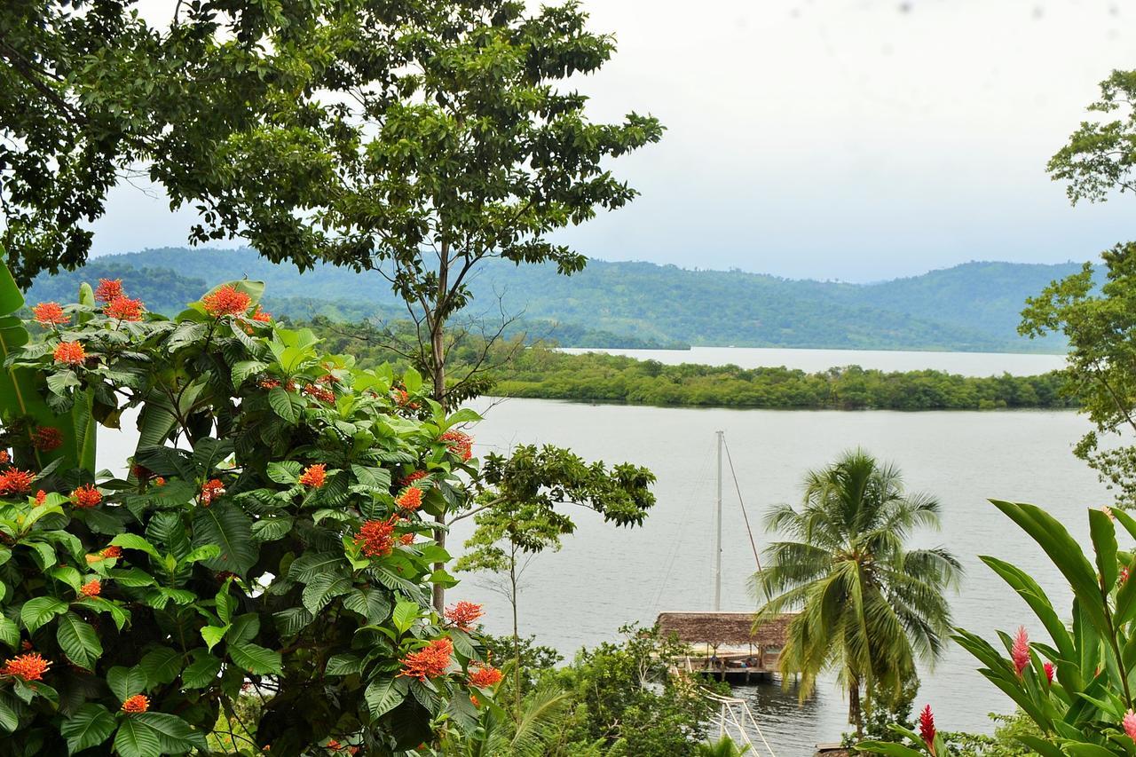 Nathylodge Bocas del Toro Buitenkant foto