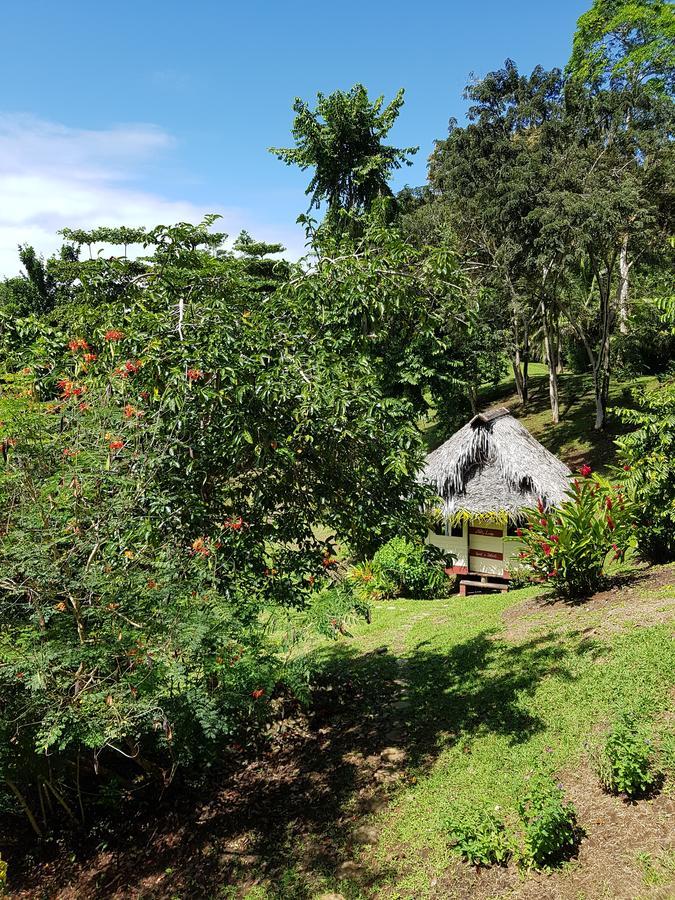 Nathylodge Bocas del Toro Buitenkant foto
